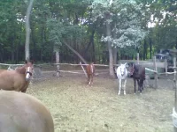 15072013146.webp