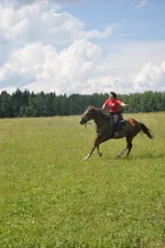 Полет 1.webp