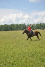 Полет 2.webp