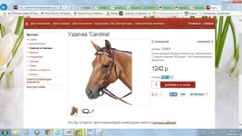 2.webp