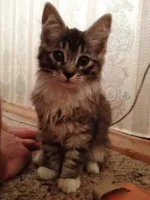 wMyhYOlyWm8.webp