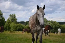x6CEnXWV1RY.webp