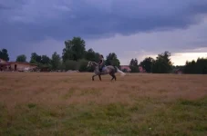 oQKGzdYjNN4.webp
