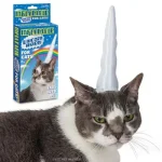 unicorn_cat.webp