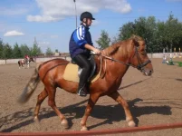 y_7a757668.webp