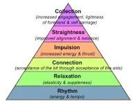 dressage pyramid.webp