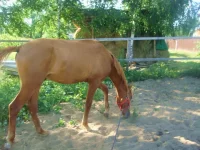 DSC09830.webp