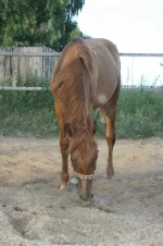 igUdTEc2wAI.webp