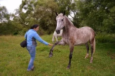 CeFf0drz0hg.webp