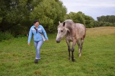 JILQqLqU0fg.webp