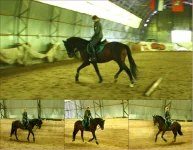 коллаж 21.webp