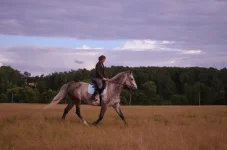 ucIGMzdnhmE.webp