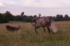lVQuNOh9ZSU.webp