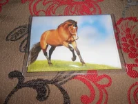 DSCN1488.webp