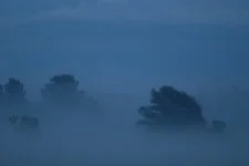 KMq8D5AcFtU.webp