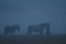 7tXWni9Qycc.webp