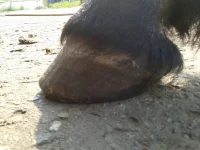 2013-07-27 10.31.43.webp