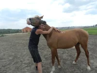 DSCN0960.webp