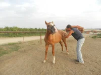 DSCN0692.webp