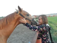 DSCN0749.webp