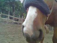 28072013163.webp