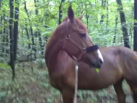 27072013162.webp