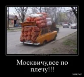 dem013.webp