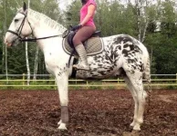 Копия Br8ADiFObFU.webp