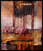 carol nelson.webp
