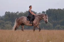 sc-LesQvjoQ.webp