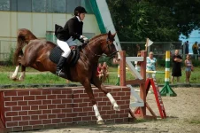 0_2c985_54c0efdc_XL.webp