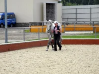 DSCN5807.webp