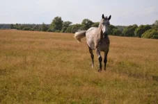 U8pLkGVKlYo.webp