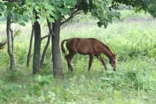 396959_DSC05140.webp