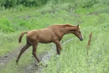 396961_DSC05142.webp