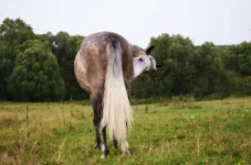 hHEF456Y2Bo.webp