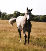 MZyxGfHF3tY.webp