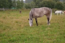 XbMYrKjB81I.webp
