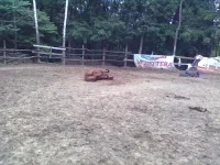 07082013175.webp