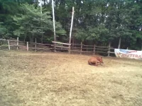 07082013174.webp
