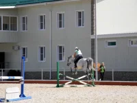 DSCN5953.webp