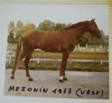 Буденновский Мезонин - копия.webp