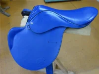 f90d606906d4.webp