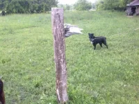 26062011292.webp