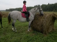 2013-08-04-530.webp