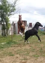getImageCA5LU256.webp