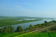 IZOR_qP_2kY.webp