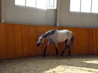 DSCN6023.webp