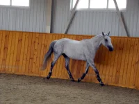 DSCN6028.webp