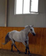 DSCN6032.webp